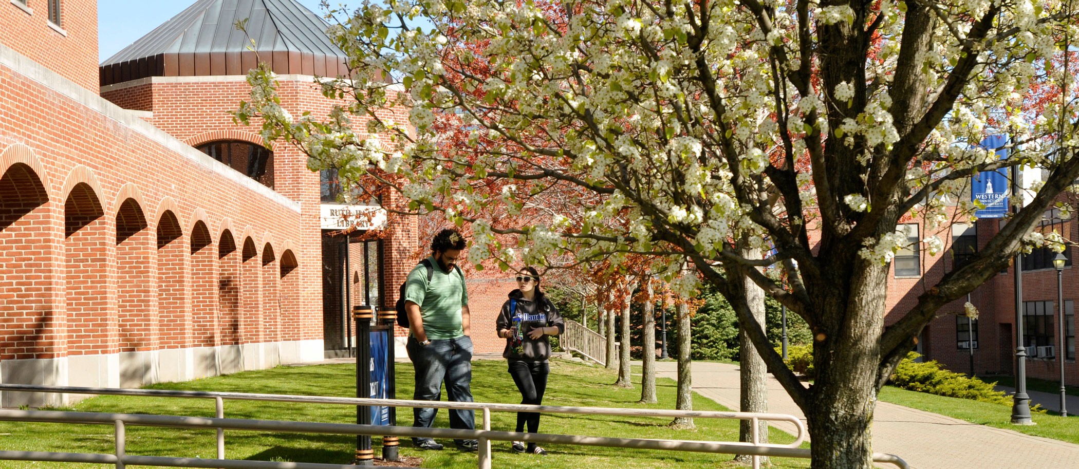 students walking on campus under flowering trees
