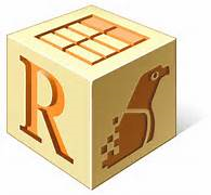 Read Iris Pro icon featuring a cube with an R on one side and hieroglyphics on the other two showing sides.