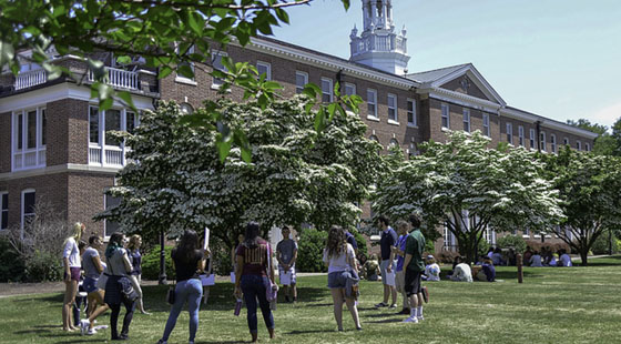 Several groups of students standing or sitting outdoors in circles communicating. A line of white blossoming trees stand in front of WCSU's Fairfield Hall.