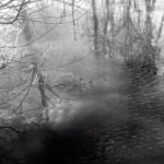 Pond Reflection film still 2