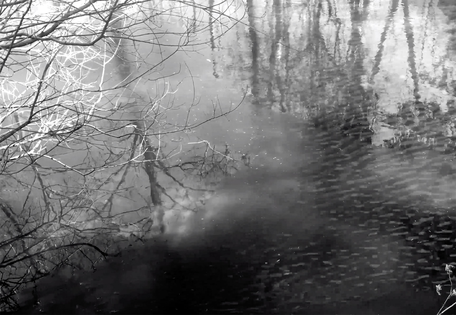 Pond Reflection film still 2