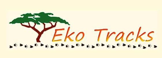 Eko Tracks Logo