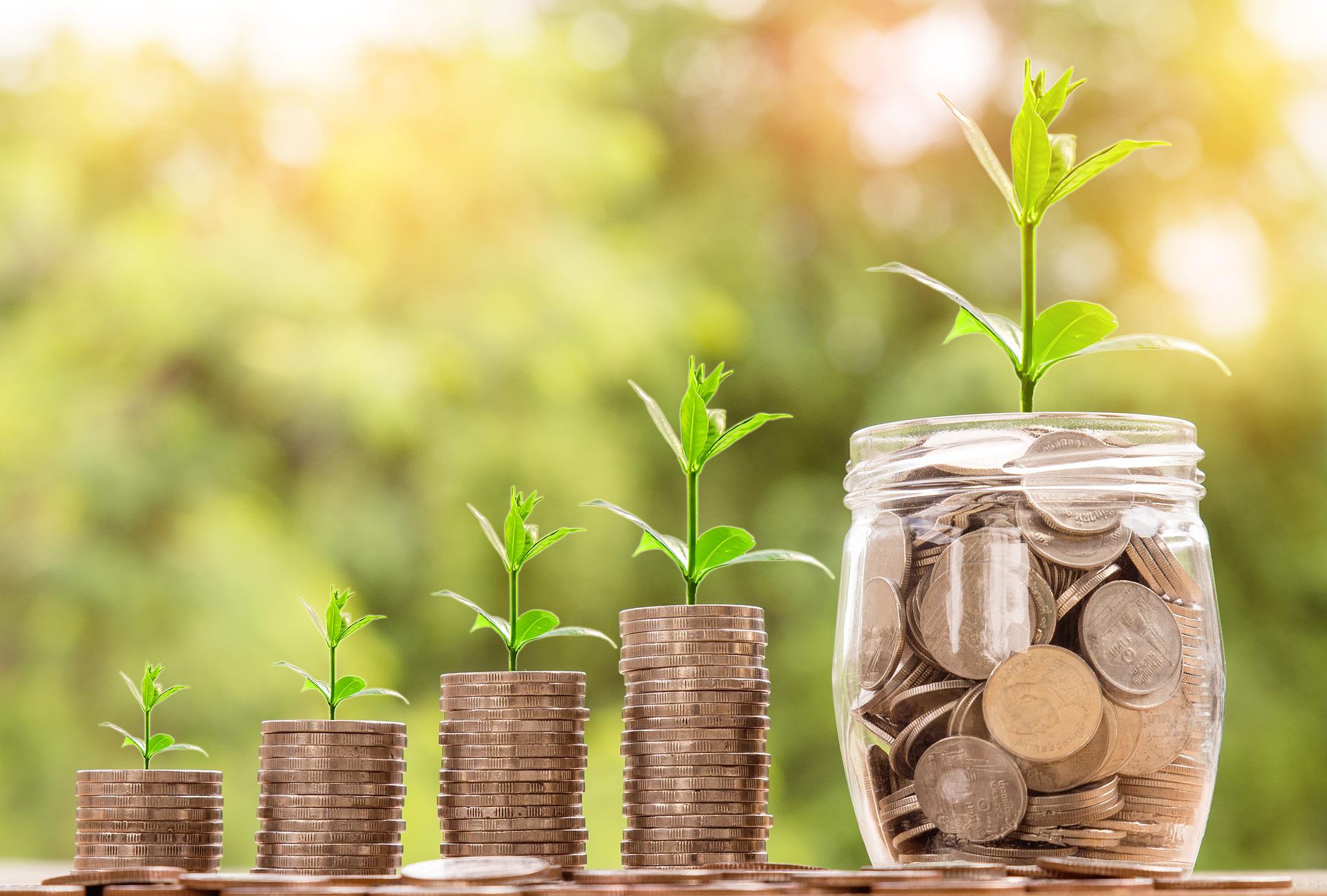 Plants growing from coins