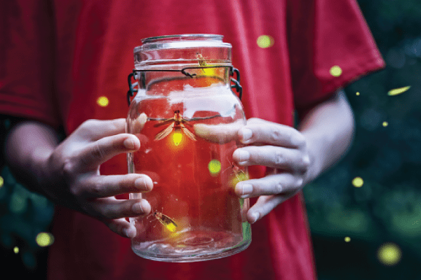 Fireflies in a jar