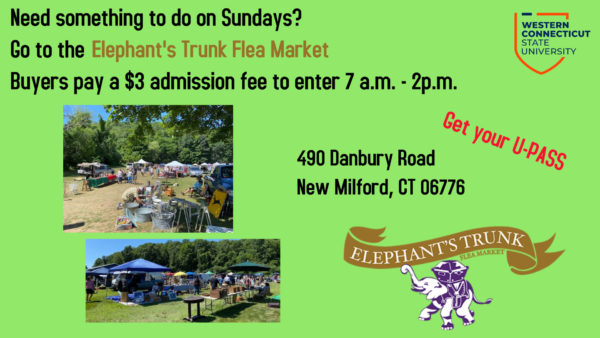 Elephant's Trunk Flea Market