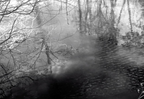 Pond Reflections