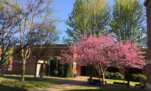 Midtown Student Center in Spring