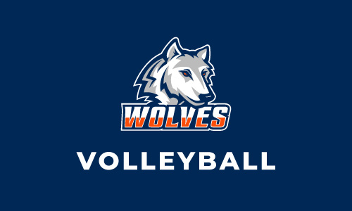 volleyball with logo