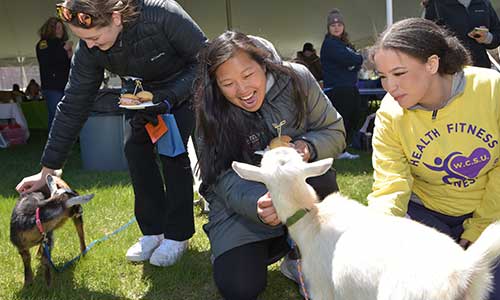 WCSU Wellness Fair