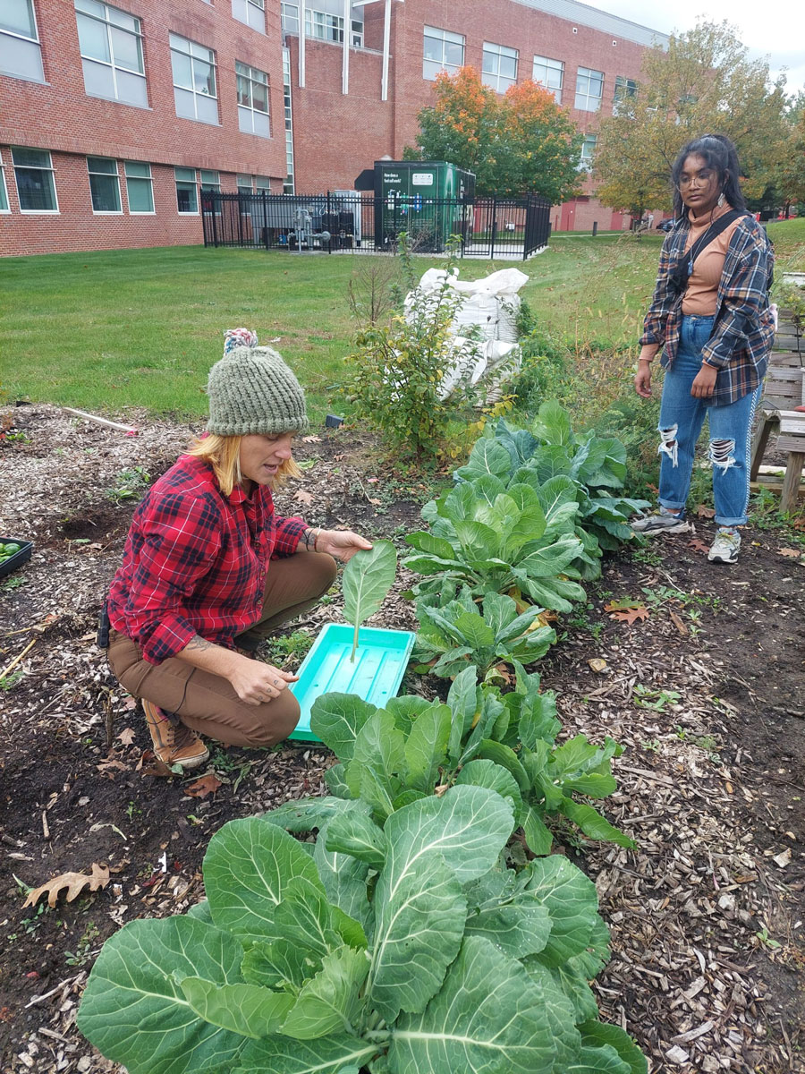 Permaculture Garden