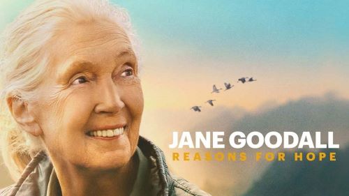 Jane Goodall Reasons for Hope