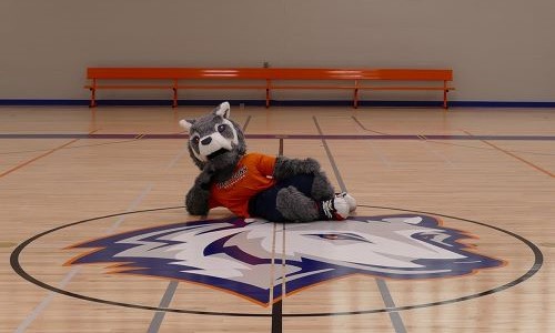 Berkshire gym