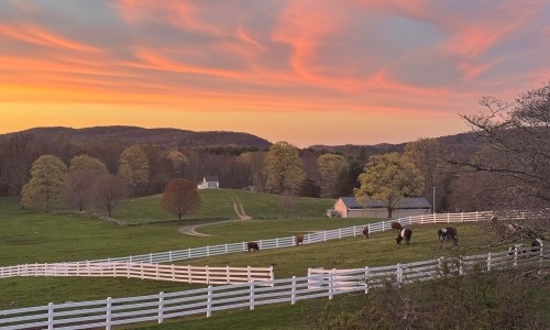 New Pond Farm