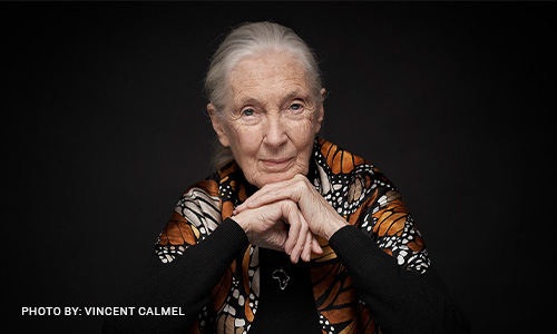 Jane-Event Dr. Jane Goodall