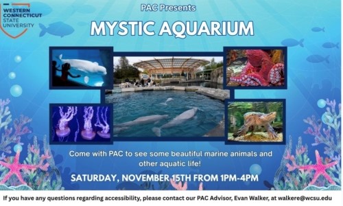 Mystic Aquarium trip flyer