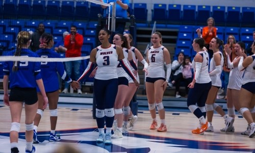 Volleyball image