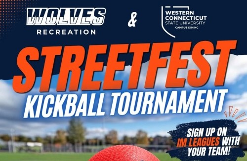 Street Fest Kickball image