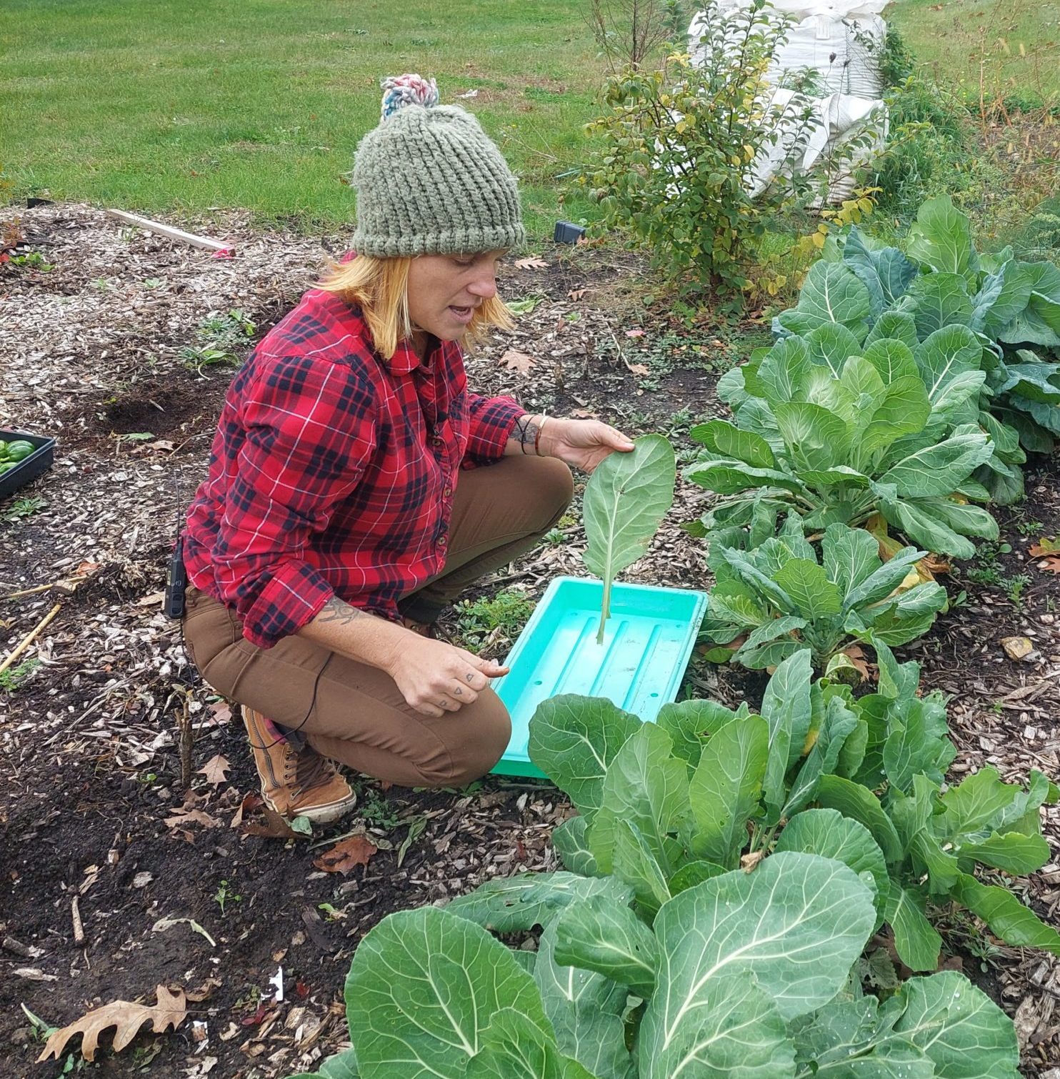 Ashley Kenney, Garden Consultant