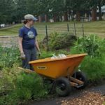 Dr. Reynolds working in the garden