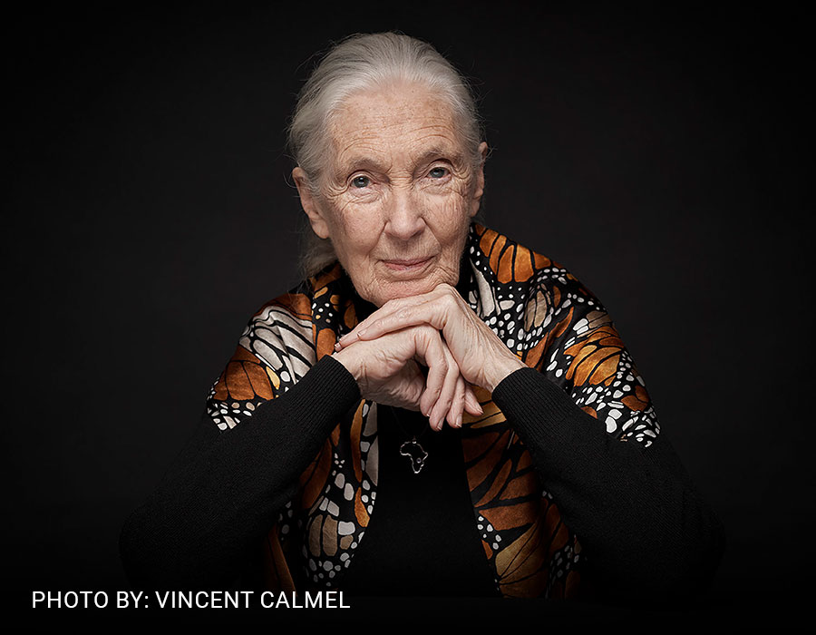 Honoring Dr. Jane Goodall: Her Vision, Her Voice, Our Future