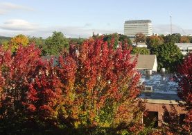 View across Student Center toward Danbury Hospital in fall
