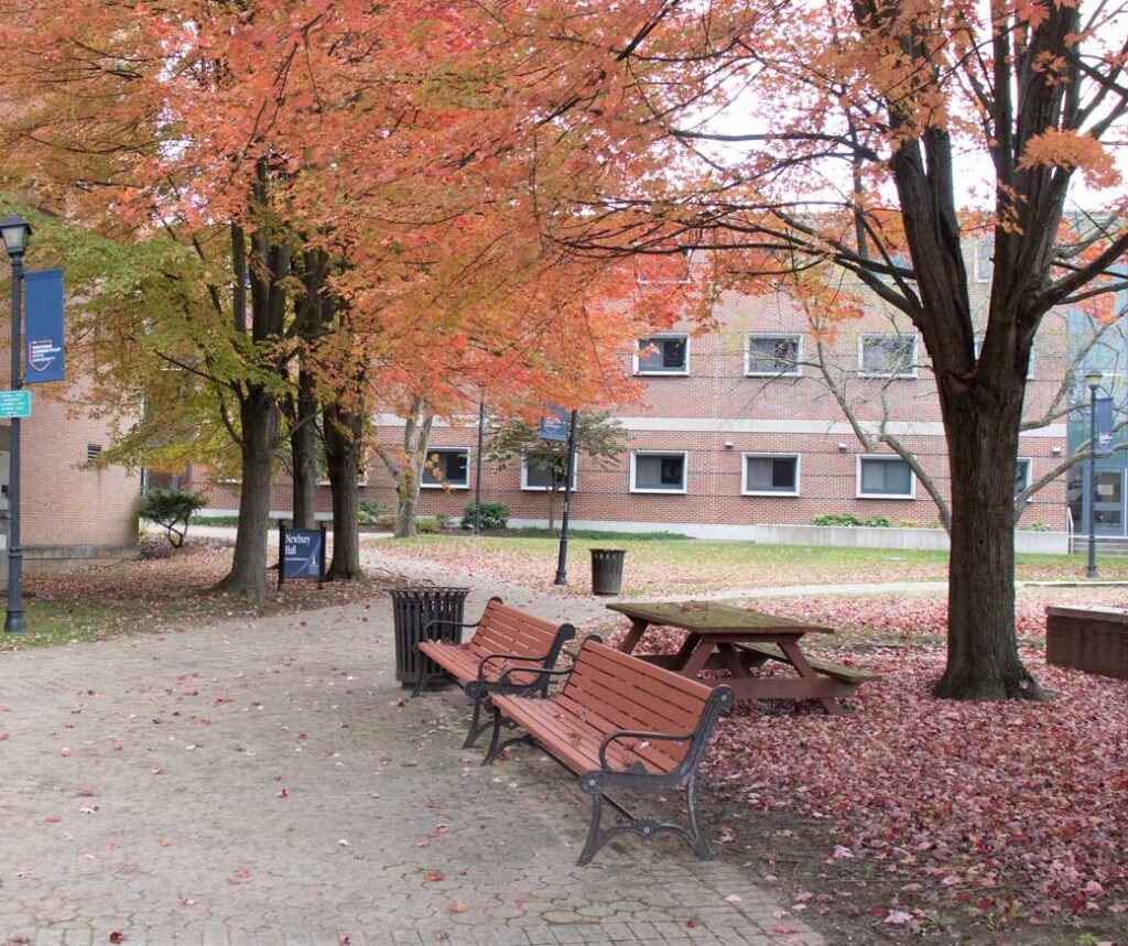 Health Services | Western Connecticut State University - Western ...