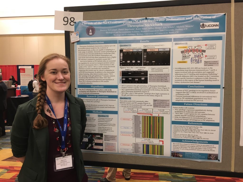 Shannon wears a black blazer on top of a maroon dress shirt. Her research poster is pinned on a bulletin board behind her. The title of her poster says, "The role of the Na-Cl cotransporter (NCC) in freshwater acclimation and adaptation of Threespine Stickleback" in white font.