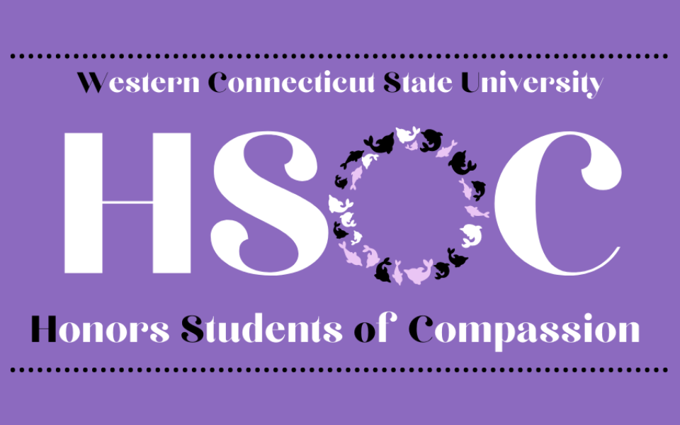 HSOC banner (900 × 600 px)