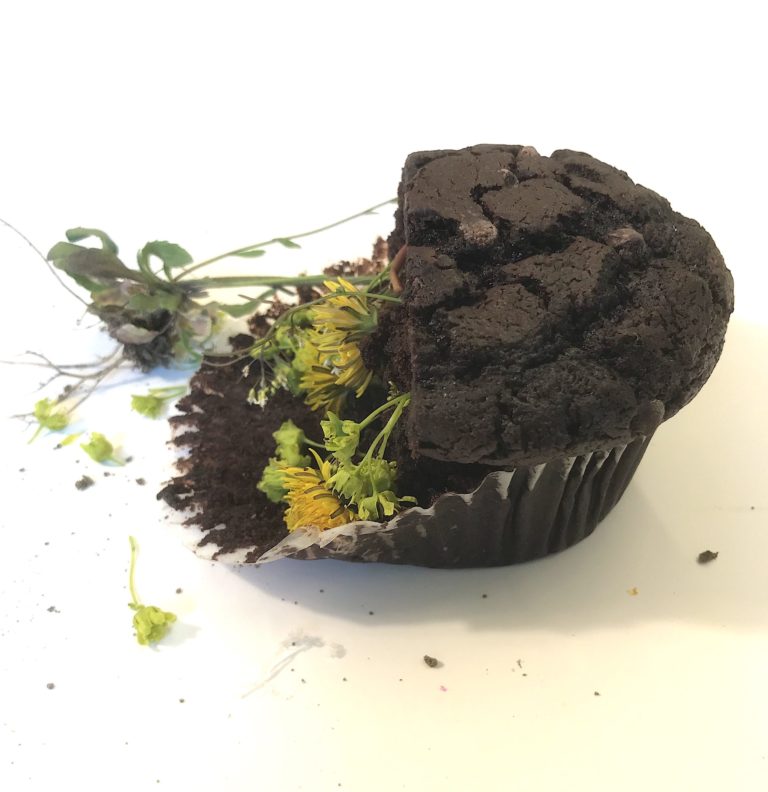 Half a muffin sitting against a white background. It is made of dirt and dandelions.