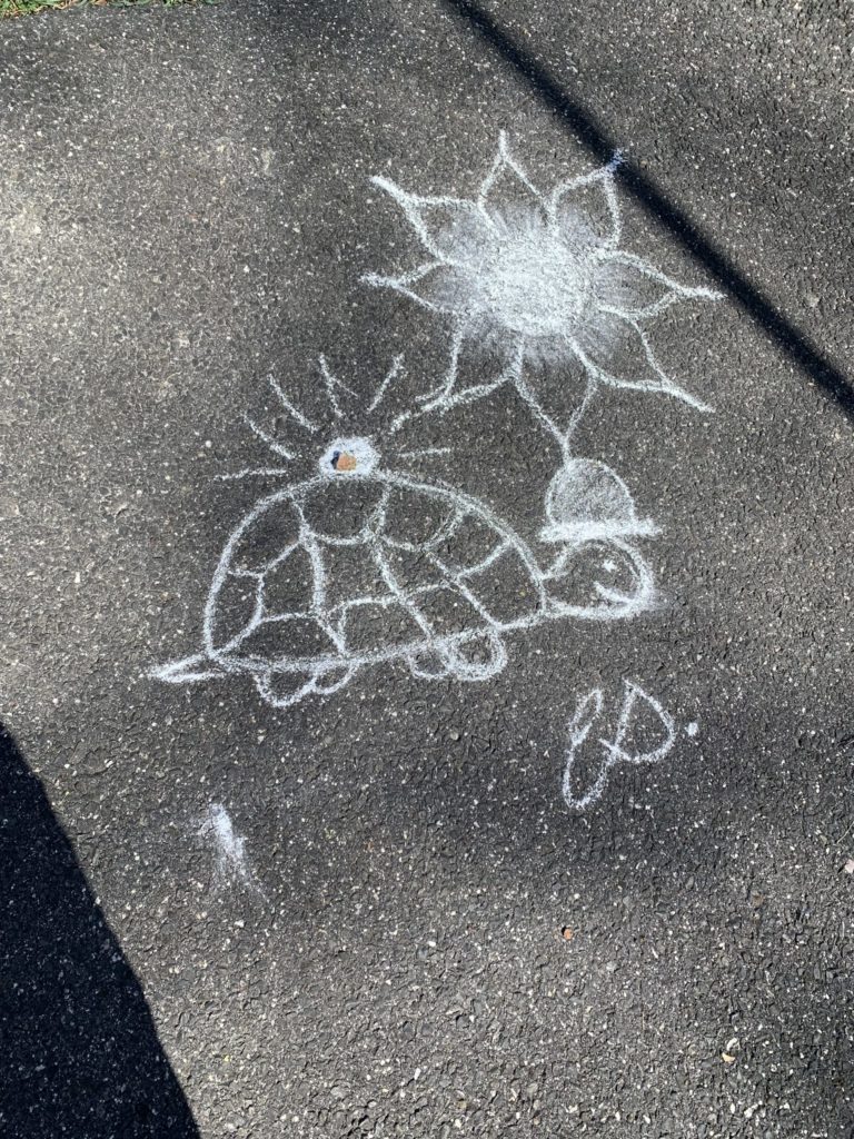 Chalk artwork of a turtle with a top hat and a poinsettia-like flower above it. A pebble rests on the turtle's back, and someone drew chalk emphasis lines around it. The work is signed "es."