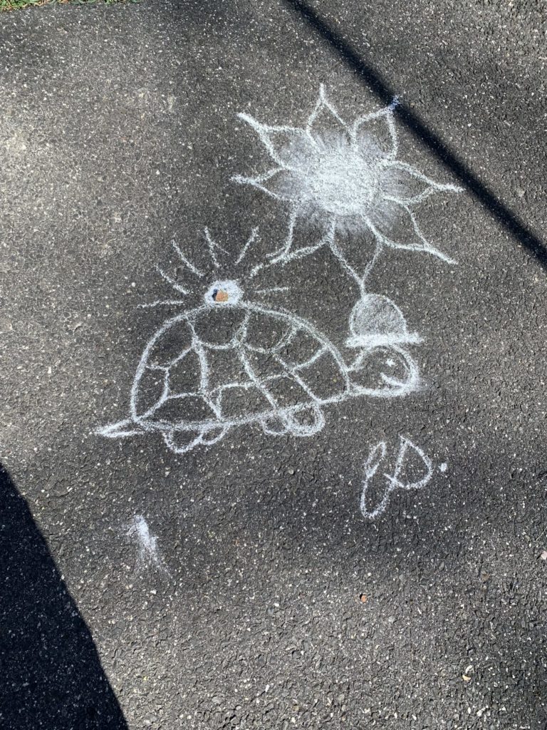 Chalk artwork of a turtle with a top hat and a poinsettia-like flower above it. A pebble rests on the turtle&#039;s back, and someone drew chalk emphasis lines around it. The work is signed &quot;es.&quot;