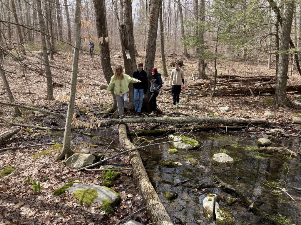 Five students hiking through the woods. Four of them stand by a river in the foreground. The student in the front holds her arms out as she balances while walking on thin, fallen trees. One student is far in the background.