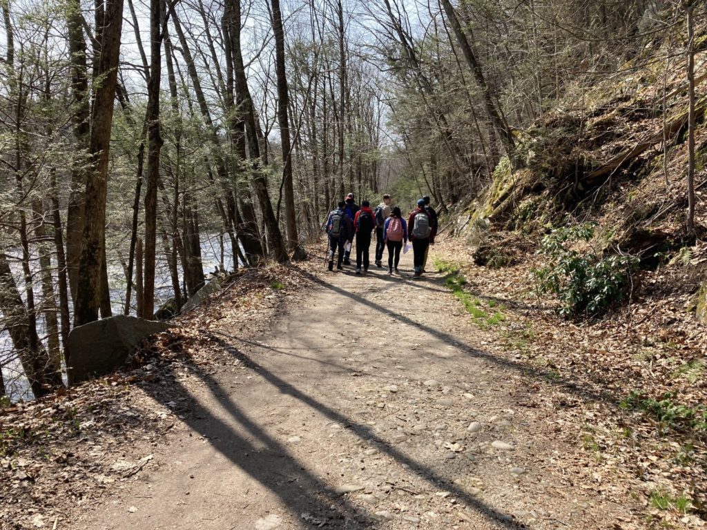 Seven students walking down a battered concrete path in the woods. They all have backpacks. There are many skinny trees around them without leaves.