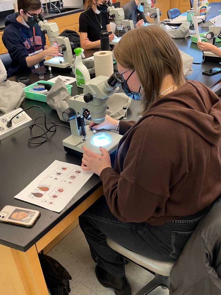 Several students sit around black tables and look at tick specimens through microscopes. The student closest to the camera has a paper next to them with various tick diagrams on it. The student is wearing glasses, a black face mask, a brown sweatshirt, and black jeans.