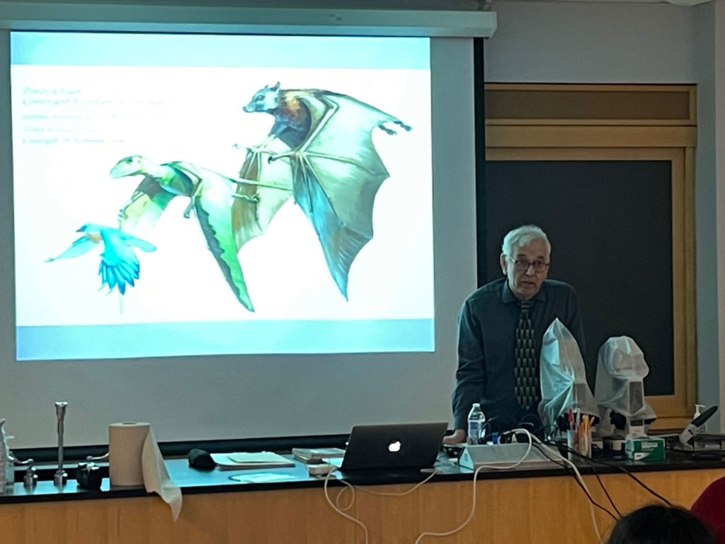 Michael Rothman is wearing a dark grey shirt and black and grey tie. Behind him is a presentation slide with a picture of a bird in front of some kind of dinosaur in front of a bat.
