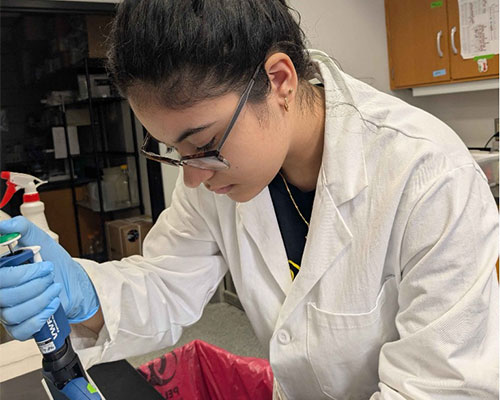 Kathwari Honors Student Gabriella Dane Conducts Research at Carnegie Mellon University