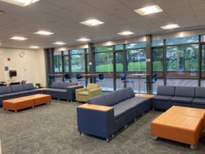 Litchfield Main Lounge Seating Areas