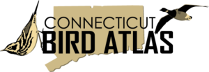image of Connecticut Bird Atlas logo