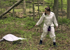 Image of Brittany Schappach collecting ticks