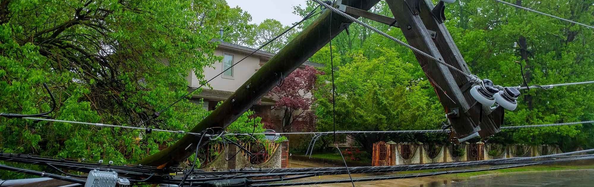 image of downed power line