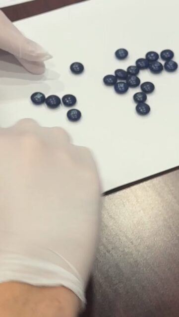 Cooking up something special for our PCAAP End of the Year Ceremony next Wednesday 4/29 🧪🐺
The team is in full prep mode!
 
We can’t wait to see you all there!🧡💙