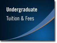 blue banner with the text, "Undergraduate Tuition and Fees"