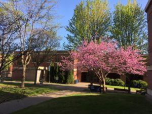 Spring Student Center