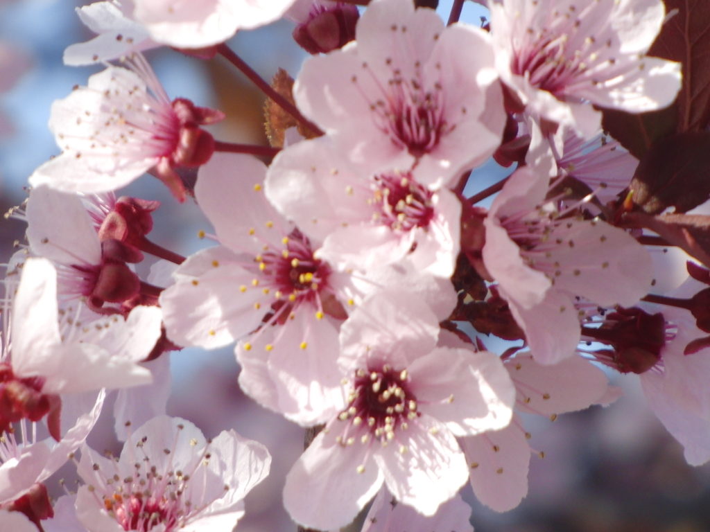 Academic Calendar WCSU Student Handbook 2022 23 Academic Calendar WCSU Student Handbook 2022 23