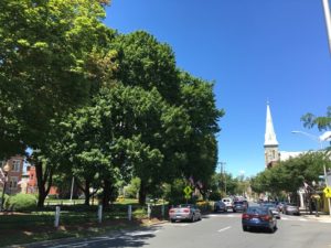 Main Street and St. Peter as seen from Elmwood Park