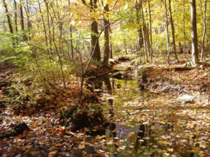 Westside Nature Preserve