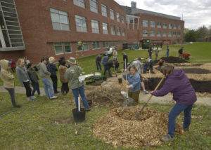 Permaculture Garden