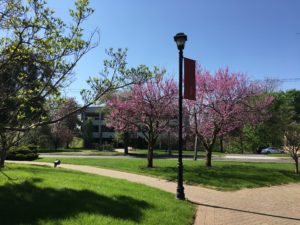 Spring/University Hall
