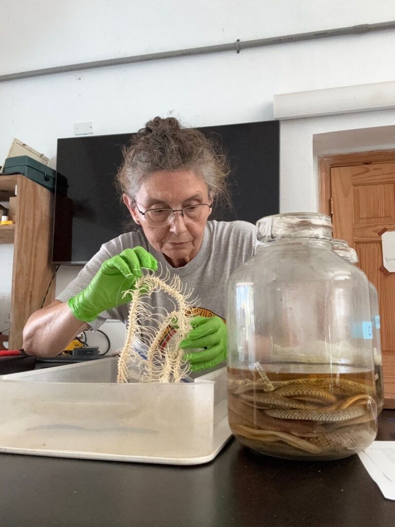 Never one to sit still, Dr. Theodora Pinou has been globe-trotting with the goal to document biodiversity and instill a love of STEM in students Never one to sit still, Dr. Theodora Pinou has been globe-trotting with the goal to document biodiversity and instill a love of STEM in students