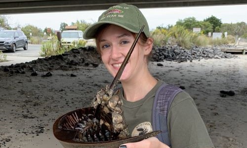 WCSU’s M.S. in Integrative Biological Diversity program leads to sweet smell of success for Katie Cunningham